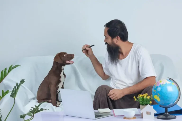 old man is playing with pet while working sofa home 1150 21757 1024x683